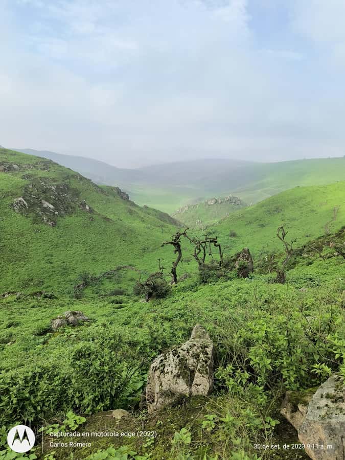 Hiking Lomas de Lachay in Lima - Key things that make this Lomas de Lachay hike work