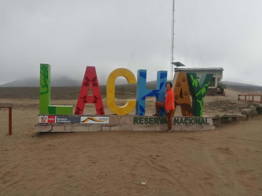 Hiking Lomas de Lachay in Lima - Breakfast included: the practical part you’ll thank yourself for