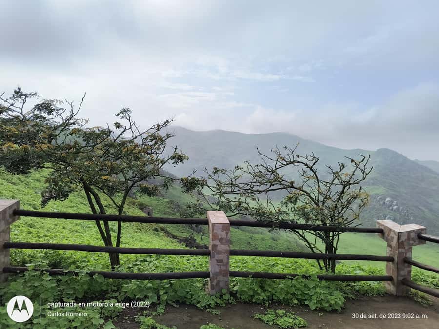 Hiking Lomas de Lachay in Lima - Guides in the real world: what to expect from a live leader