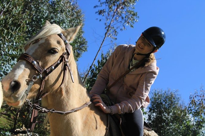 Horse Riding Chacan Mountain And Temple Of The Moon - Pace, Safety Gear, and What the 3½ Hours Actually Feels Like