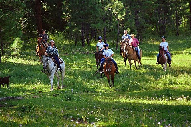 Horseback Riding Plus Tour to Sacsayhuaman, Quenqo, Puka Pucara and Tambomachay - Vieja Estancia Ranch horseback riding: how the ride actually feels