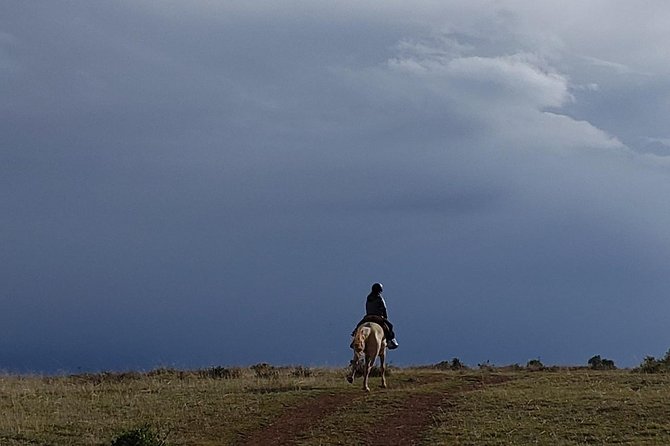 Horseback Tour in cusco to Temple of the Moon & Hidden temples - Key highlights you’ll actually care about