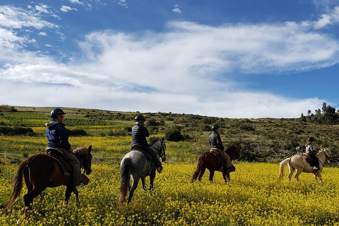 Horseback Tour in cusco to Temple of the Moon & Hidden temples - Price and value: what $65 covers and why it adds up