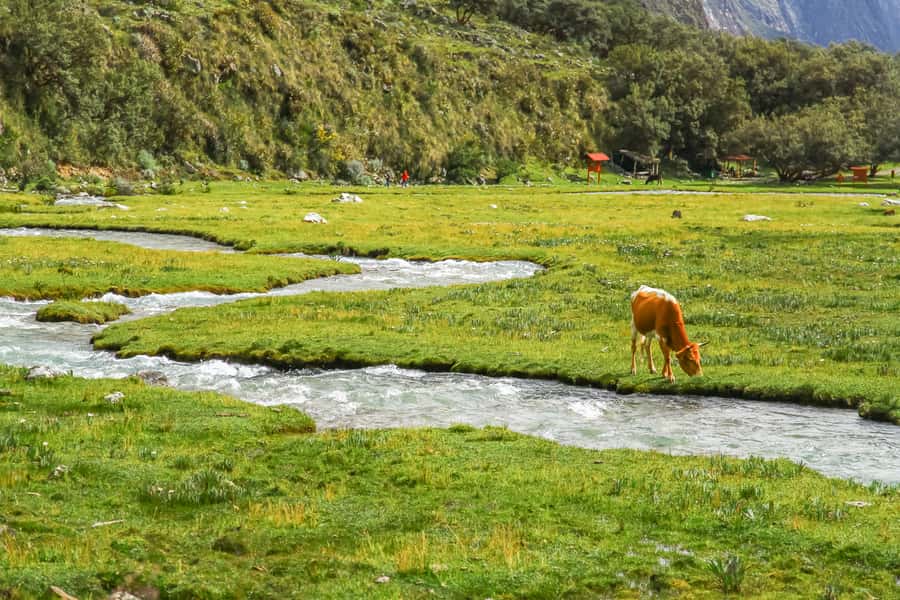 Huaraz: 3-hour Trek to Laguna 69 with Optional Lunch - What You Get, What It Costs, and the Value Check