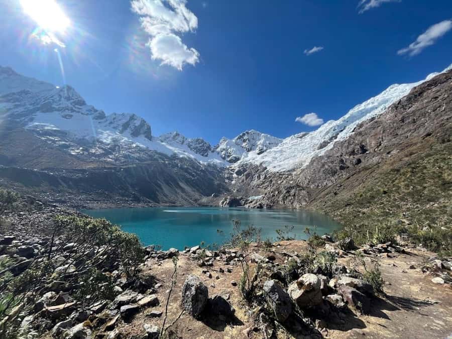 Huaraz: Full Day Rocotuyoc Lagoon + Frozen Lagoon - The drive through Quebrada Paqcharuri and native plants