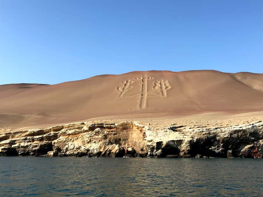 Ica: Ballestas Island & Paracas Reserve Private Tour - Key Things That Make This Tour Work