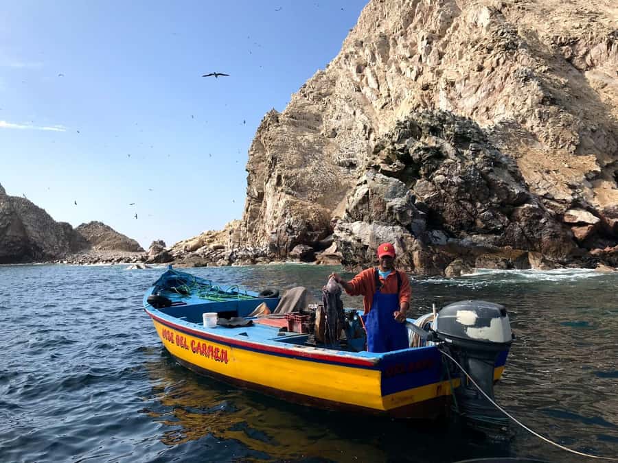 Ica: Ballestas Island & Paracas Reserve Private Tour - From Ica Hotel Pickup to Marina Turística: Getting There Smoothly