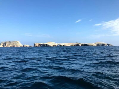 Ica: Ballestas Island & Paracas Reserve Private Tour - Speedboat to Ballestas Islands: Seals, Birds, and a Real Coastal World