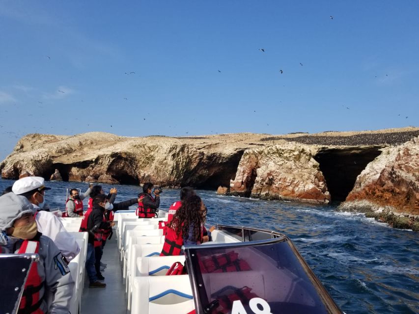 Ica: Ballestas Island & Paracas Reserve Private Tour - Ballestas Marine Sanctuary: Wildlife Viewing That Feels Close, Not Crowded