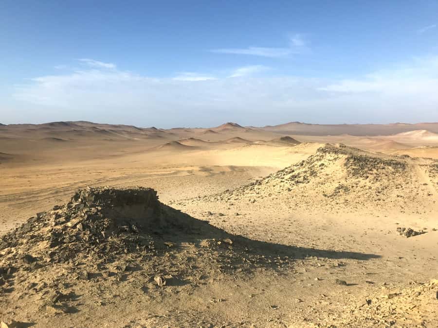 Ica: Ballestas Island & Paracas Reserve Private Tour - Playa Roja and Lagunillas: Maroon Sand Beaches for Photos and Fresh Air