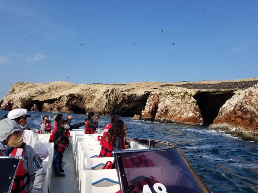 Ica: Ballestas Island & Paracas Reserve Private Tour - Price and Value: What $100 Per Person Really Buys