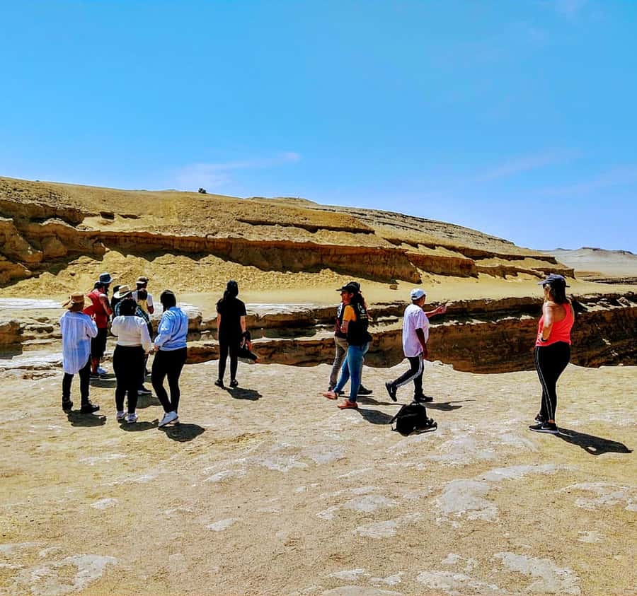 Ica: Canyon of the Lost Tour in Ocucaje Desert - Logistics that matter: WhatsApp, hotel pickup, and why your phone needs data
