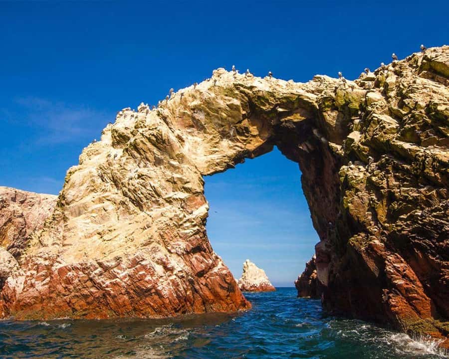 Ica: Excursion Ballestas Islands & Paracas National Reserve - The best parts and the one big caution to take seriously