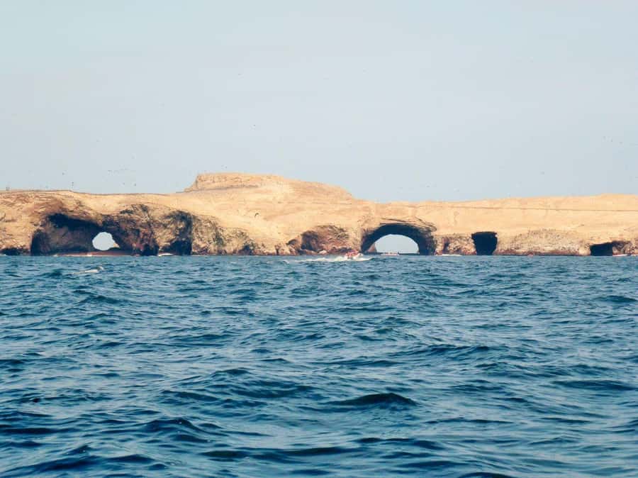 Ica: Excursion Ballestas Islands & Paracas National Reserve - The possible “motorized glider” mismatch: what to confirm before you go