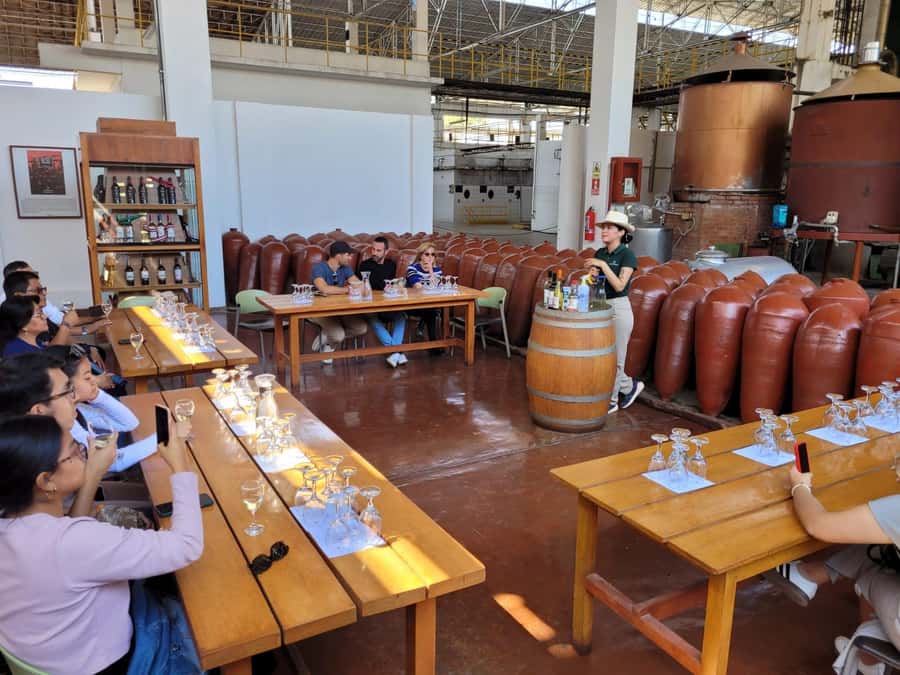 ICA: Pisco and Wine Route with tasting in 03 Wineries - Pisco and Wine Route in Ica: The Big Idea
