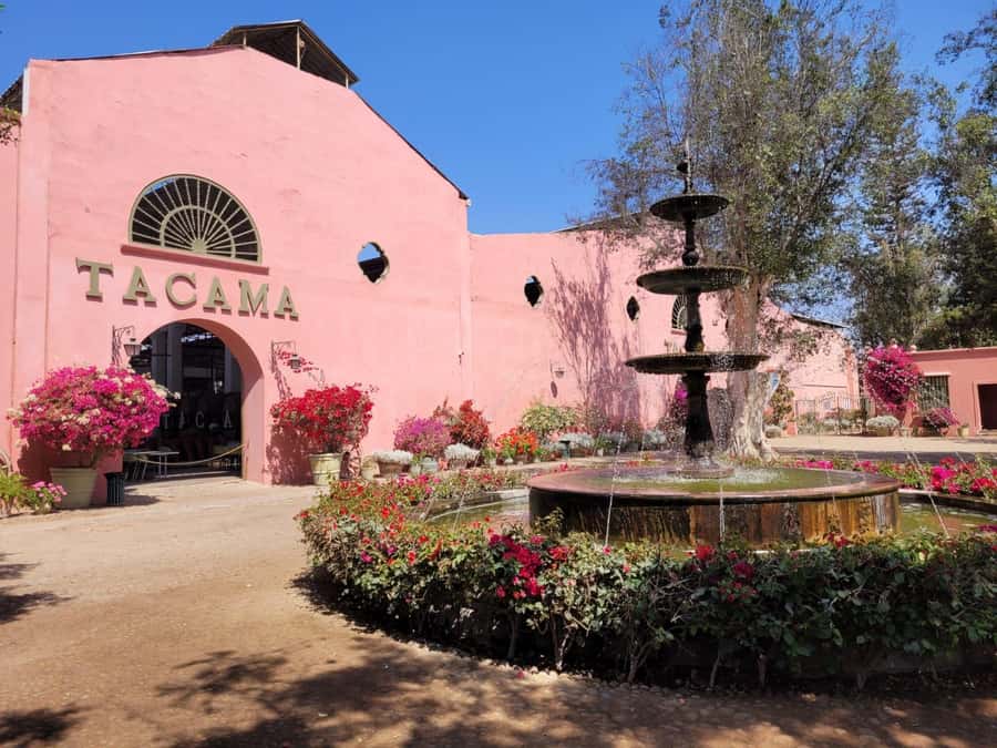 ICA: Pisco and Wine Route with tasting in 03 Wineries - Stop at TACAMA Hacienda: History Meets Pisco Distillation