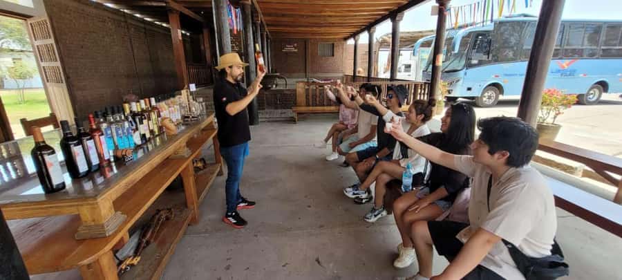 ICA: Pisco and Wine Route with tasting in 03 Wineries - The Vineyards Walk: Grape Varieties and Why They Matter