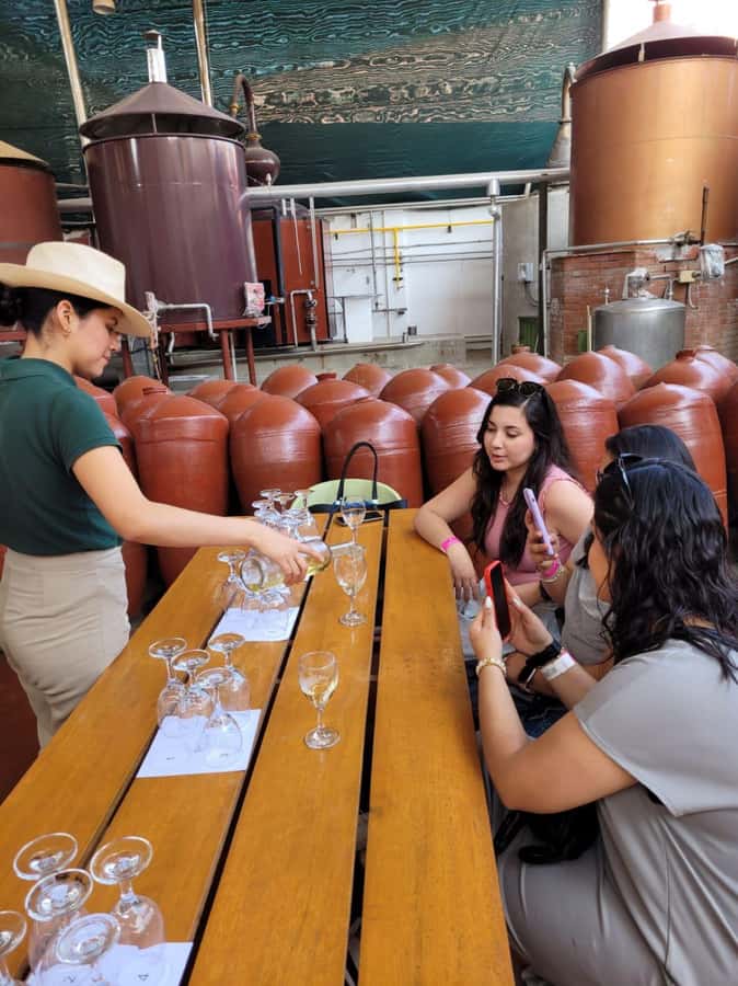 ICA: Pisco and Wine Route with tasting in 03 Wineries - Getting to the Wineries: Pickup, Small Group, and Timing