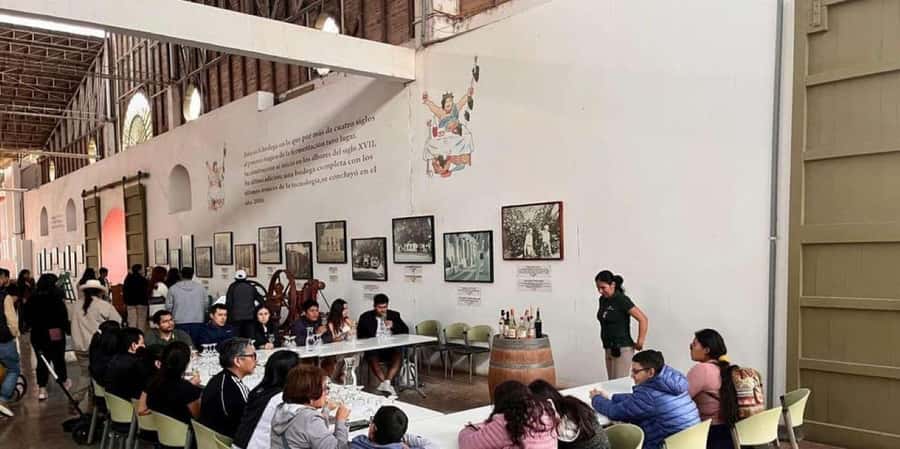 Ica: Tacama Winery and Pisco Tasting Tour with Hotel Pickup - Ica’s Pisco and Wine Circuit: what you’re really paying for