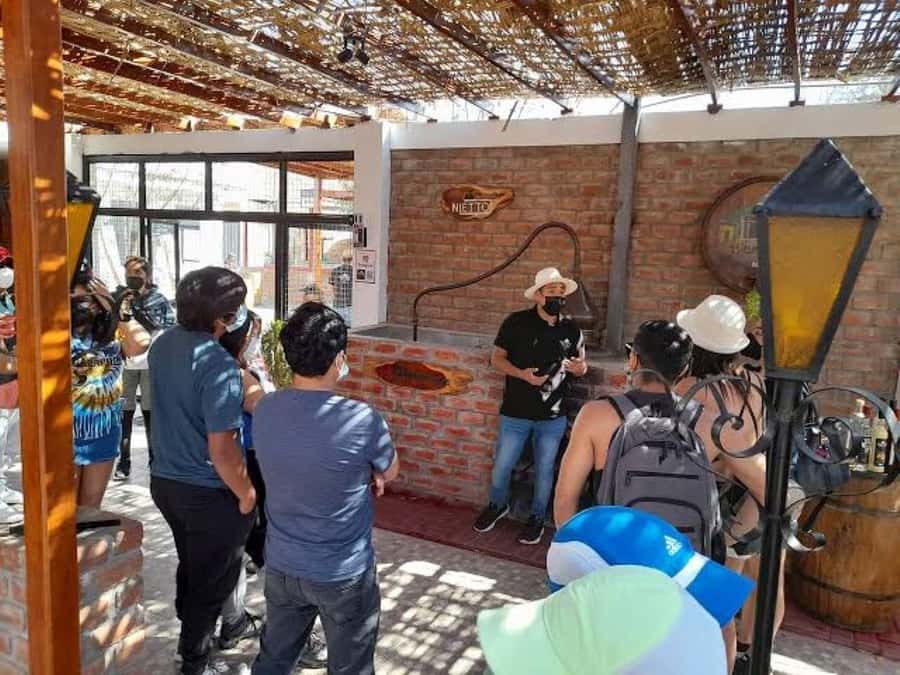 Ica: Tacama Winery and Pisco Tasting Tour with Hotel Pickup - Bodega El Catador: handcrafted pisco tastings and classic styles