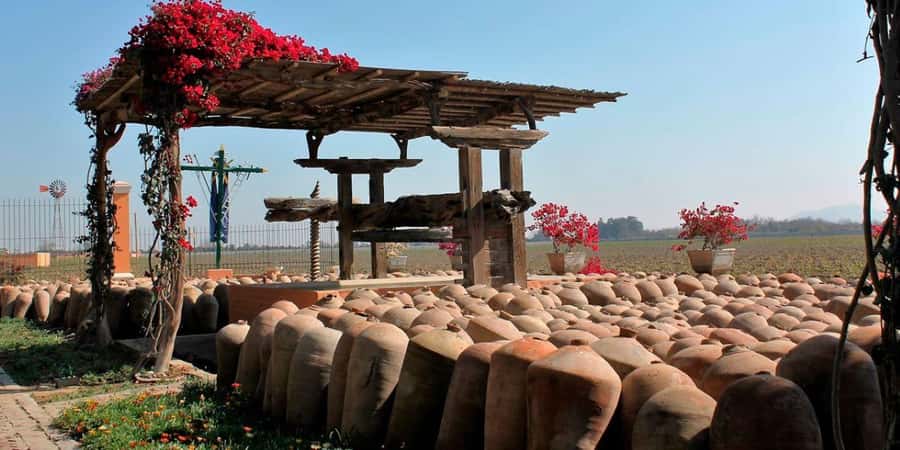 Ica: Winery Tour with Pisco and Wine Tasting - From your Ica hotel to two very different stops