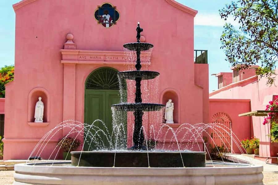 Ica: Winery Tour with Pisco and Wine Tasting - Pisco and wine tastings: comparing varieties like a pro
