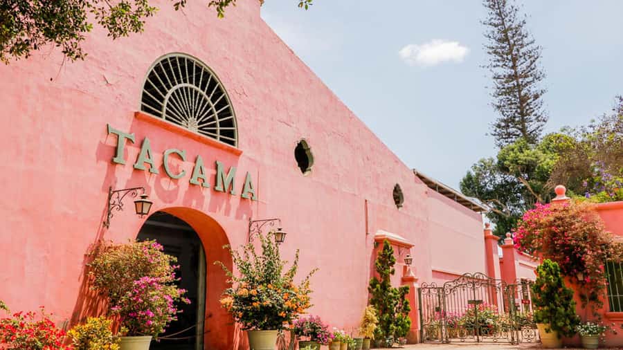Ica: Winery Tour with Pisco and Wine Tasting - FAQ