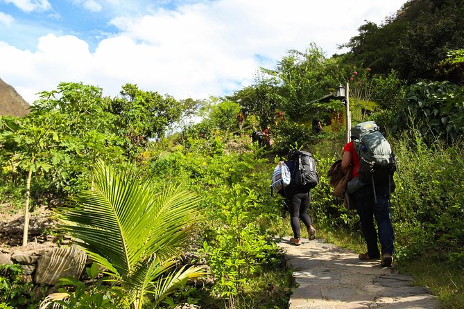 Inca Jungle Premium to Machu Picchu 4-Day and 3-Nights - Logistics that make the tour feel smooth (and a few things to watch)
