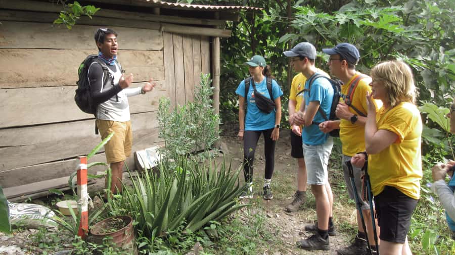 Inca Jungle Trail to Machu Picchu in 4 Days - Why this 4-day Inca Jungle route feels different than most