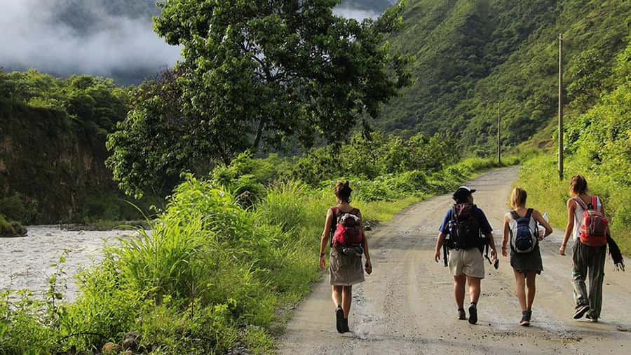 Inka Jungle trek to Machu Picchu 3 D/ 2 N - Price and Value: Is $410 Worth It for Machu Picchu by This Route?