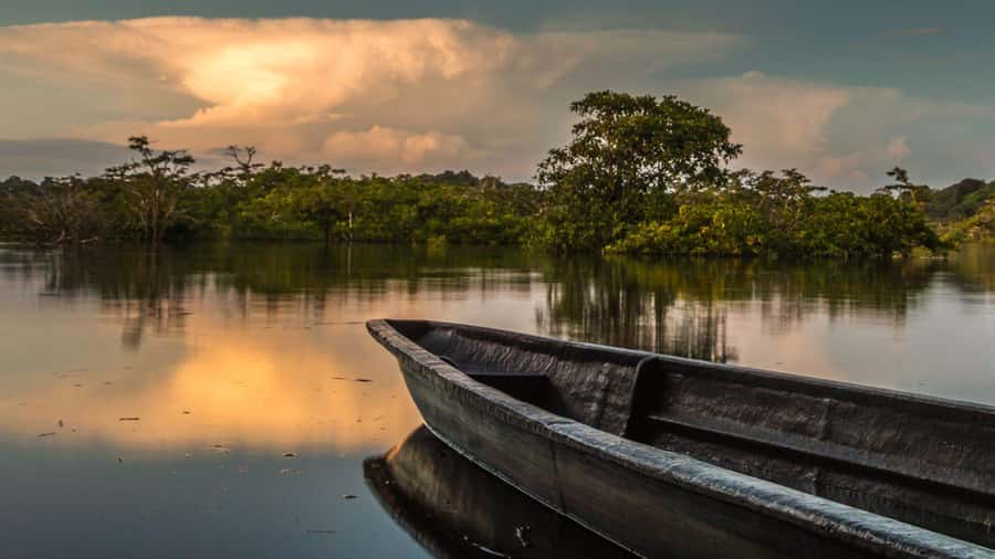 Iquitos: 2 Days and 1 Night Guided Amazon Jungle Tour - Food, comfort, and a lodge that actually lets you rest