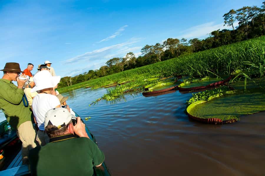 Iquitos: 2 Days and 1 Night Guided Amazon Jungle Tour - Canoe on the Nanay with a professional native guide
