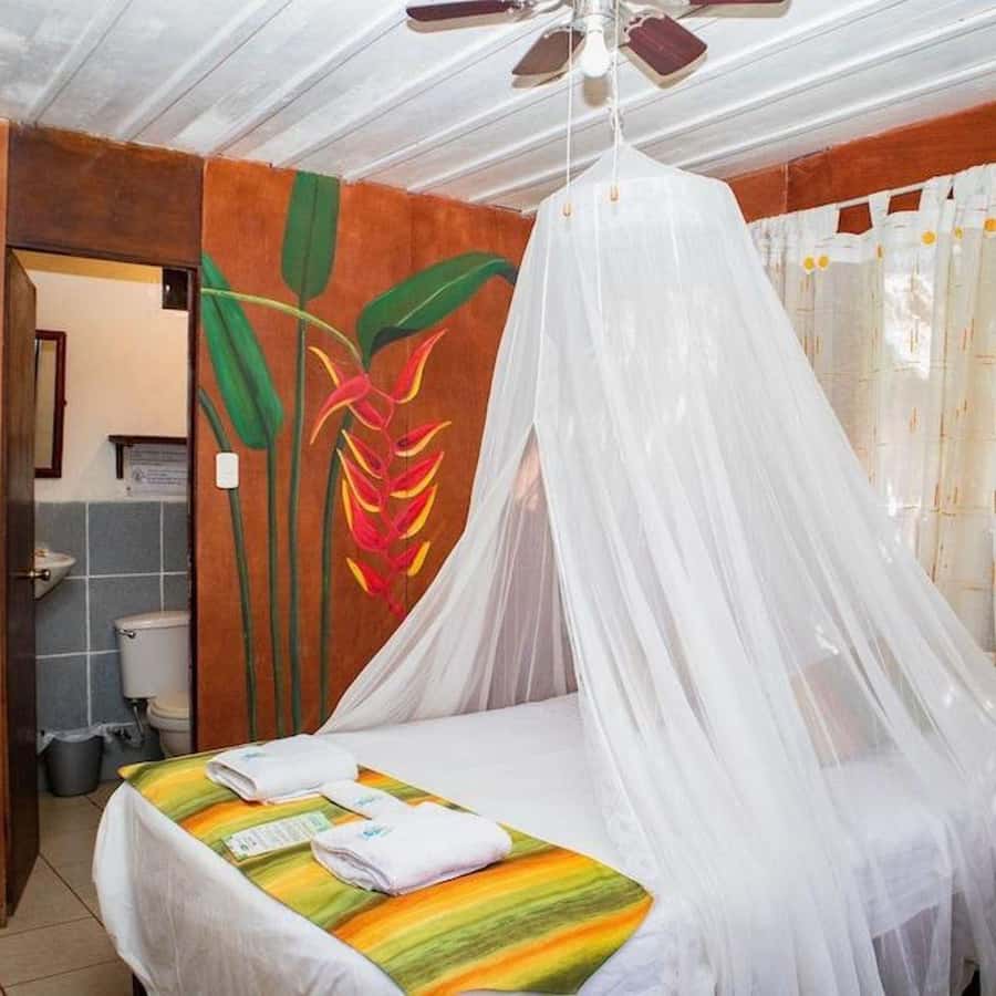 Iquitos: 2 Days and 1 Night Guided Amazon Jungle Tour - Nightfall jungle walk: tarantulas, cicadas, and owl songs