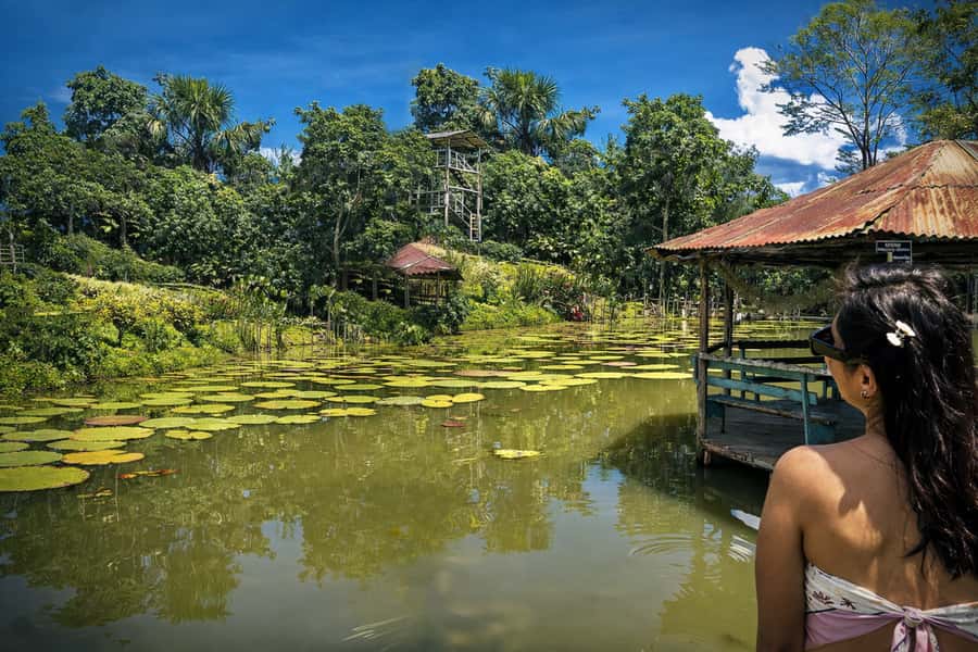Iquitos: 6-Hour Wonderful Wildlife Guided Tour - The bilingual guide experience: names you might hear and why it helps