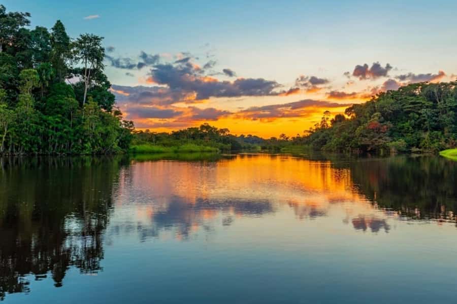 Iquitos: Amazon Jungle in 2 Days: Adventure and Expedition - Day 1: From Iquitos by Boat to the Lodge on the Amazon River