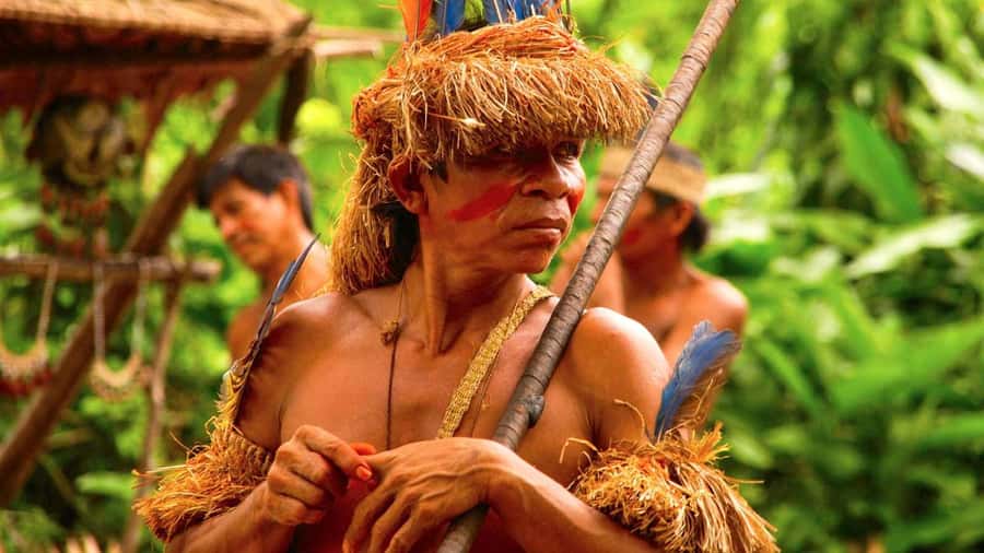 Iquitos: Full Day Tour in the Jungle | Amazon Safari - Monkey Island (Neyser): Interaction in the Creek