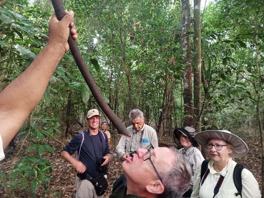 Iquitos: nature and adventure tour amazon Peru - Pickup, Start Point, and Why Logistics Actually Matter Here