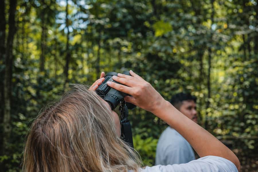 Iquitos to the Amazon: 2-Day Jungle & Wildlife Experience - From Iquitos to the jungle: what the 2-day flow really feels like