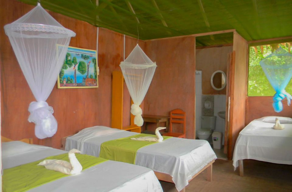 Iquitos to the Amazon: 2-Day Jungle & Wildlife Experience - Night walk: tarantulas, amphibians, and alligators after dark