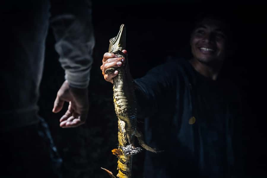 Iquitos to the Amazon: 2-Day Jungle & Wildlife Experience - Value and price: is $480 a smart deal for two days?