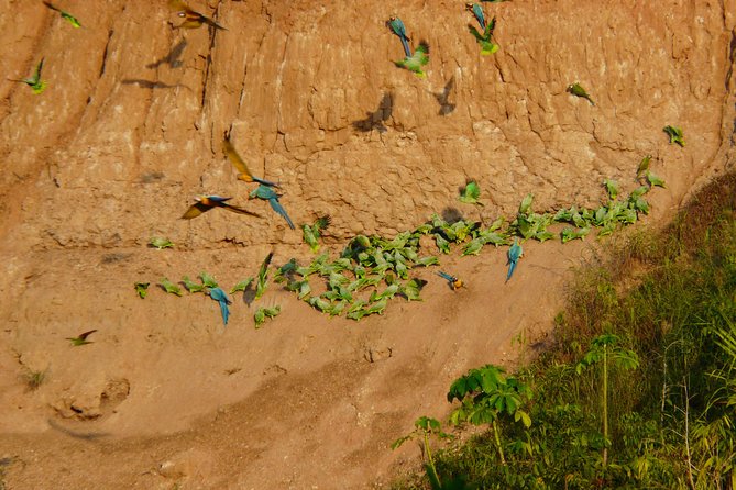 Jungle Eco Jungle And Adventure - 4 Days / 3 Nights - Value for $325: What You Get, What Might Cost Extra