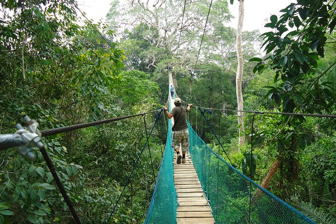 Jungle Eco Jungle And Adventure - 4 Days / 3 Nights - Day 1 in Tambopata: Forest Trails, Monkey Island, and Night Alligator Search