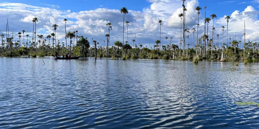 Lake Yacumama - Sunrise or Sunset - Madre de Dios River vibes, but in a lagoon pocket