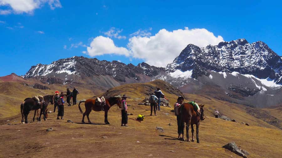 Lima: 7-Day Inca Tour with Flights and Machu Picchu - Lima to Cusco: why this 7-day plan works (and where it doesn’t)