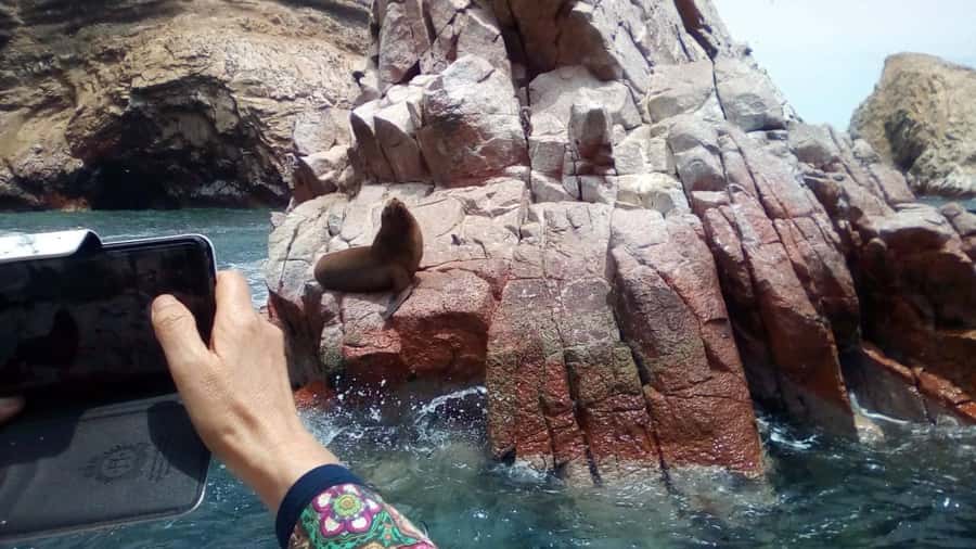 Lima and Nasca : Ballestas -Huacachina-Nasca Lines - A fast two-day loop through Paracas, Huacachina, and Nasca