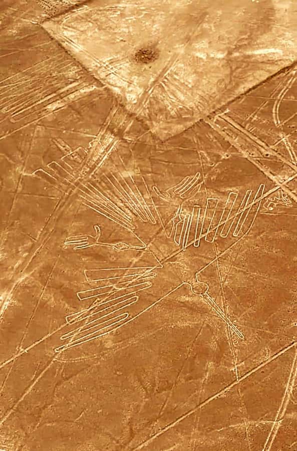 Lima and Nasca : Ballestas -Huacachina-Nasca Lines - Price and value: what $490 buys you over 2 days