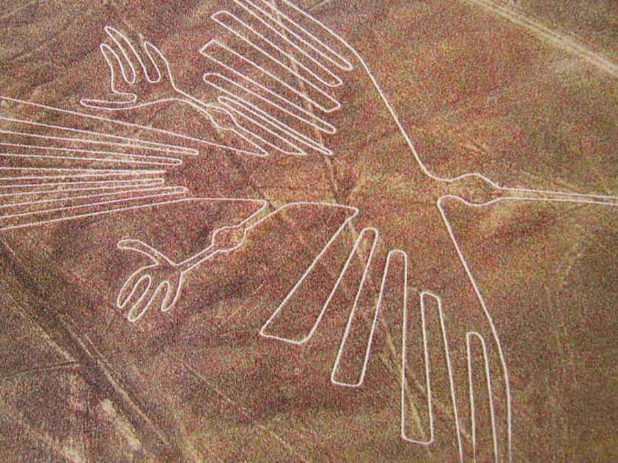 Lima: Ballestas Islands, Huacachina Oasis & Nazca Lines Tour - Key points at a glance