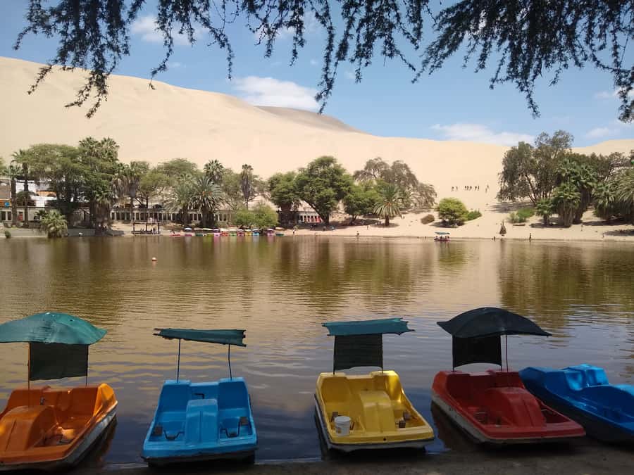 Lima: Ballestas Islands, Huacachina Oasis & Nazca Lines Tour - Your practical packing list for Peru’s desert + coast combo