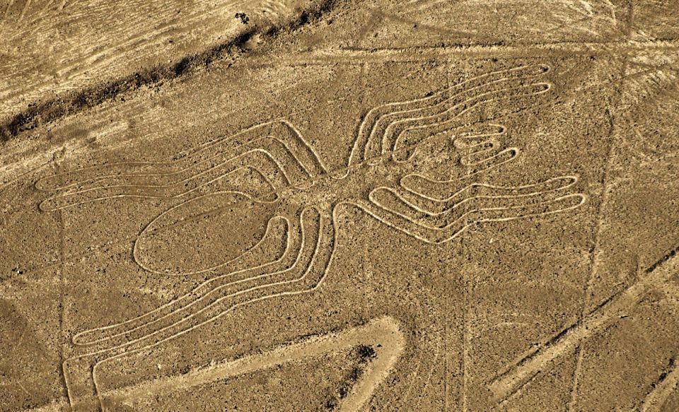 Lima: Ballestas Islands, Huacachina Oasis & Nazca Lines Tour - Price and value: what $625 buys you (and what it doesn’t)