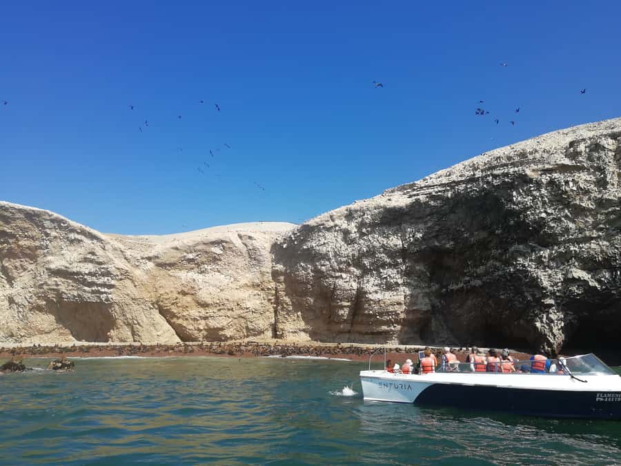 Lima: Ballestas Islands, Winery and Nazca Lines Private Tour - Key Things I’d Plan Around